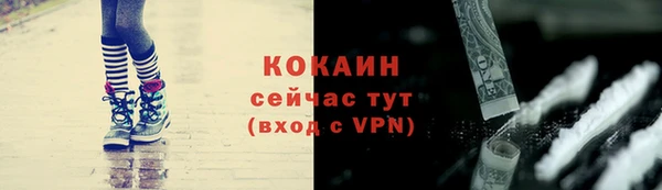 первитин Новодвинск